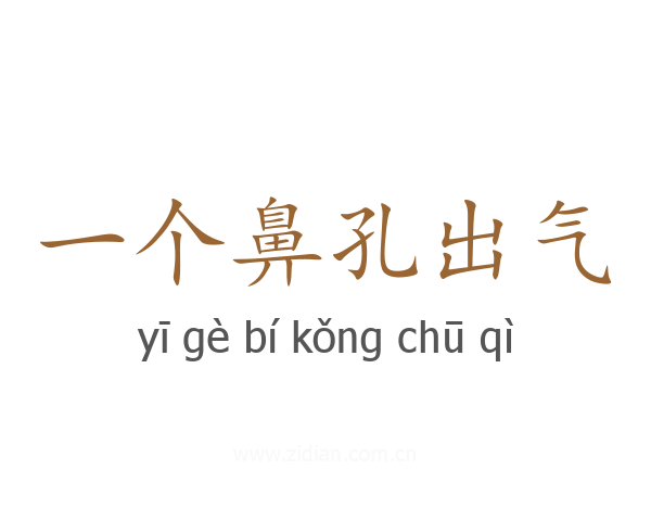 一个鼻孔出气