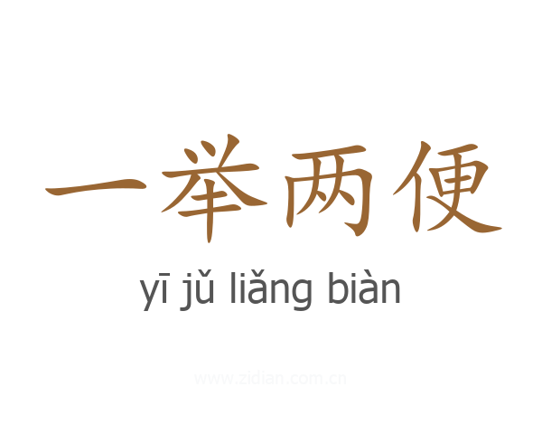 一举两便