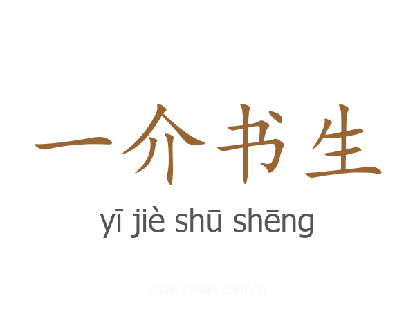 一介书生