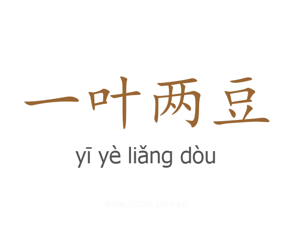 一叶两豆