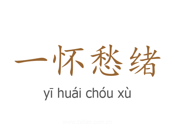 一怀愁绪