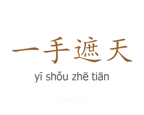 一手遮天