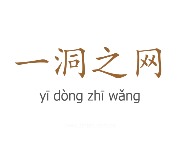 一洞之网