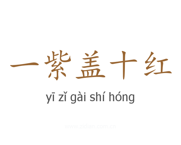 一紫盖十红