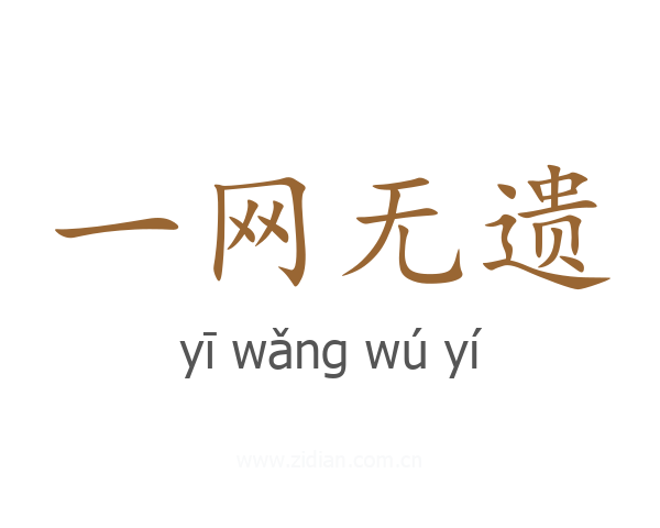 一网无遗