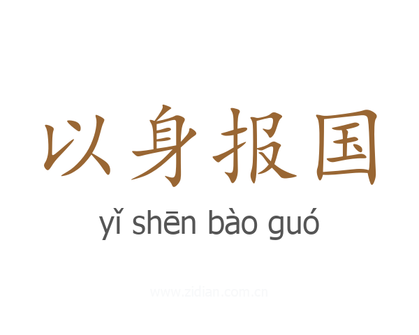以身报国