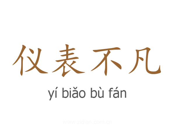 仪表不凡