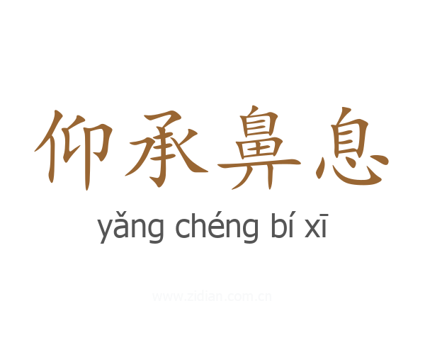 仰承鼻息