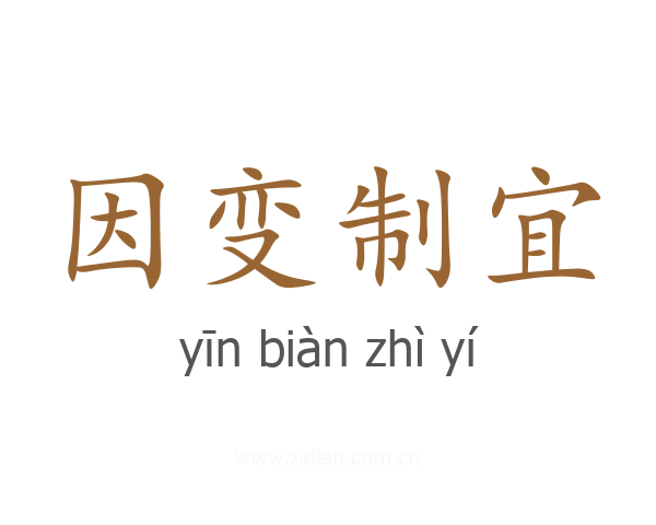 因变制宜
