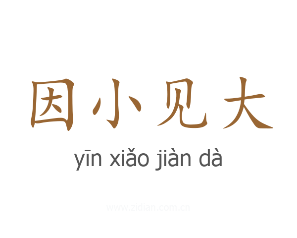 因小见大