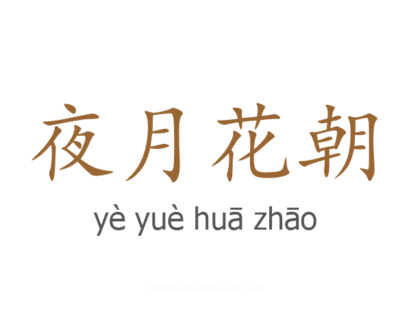 夜月花朝
