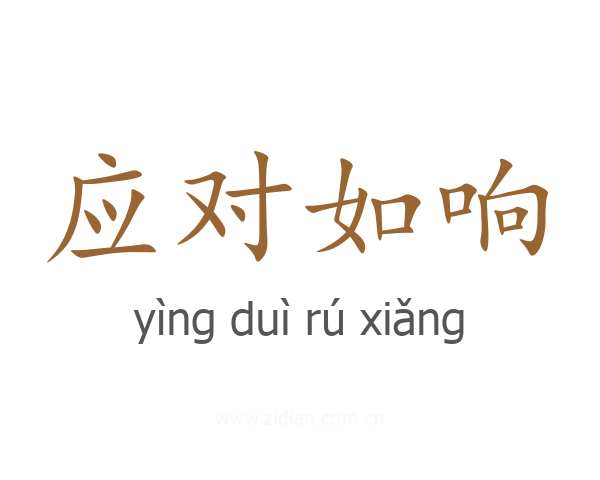 应对如响