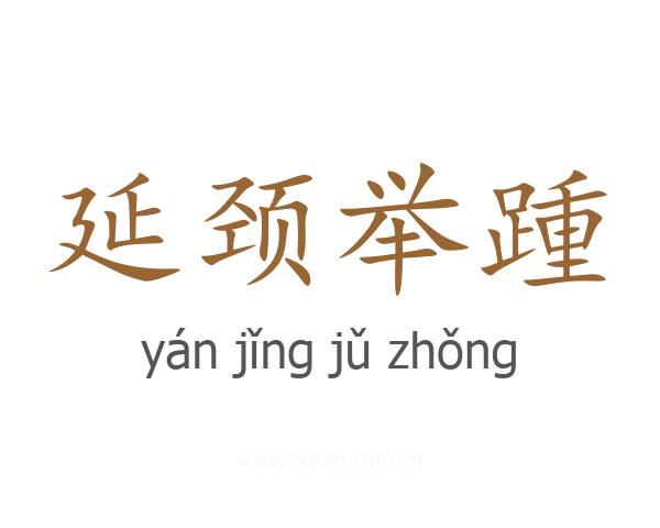 延颈举踵