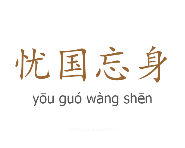 忧国忘身