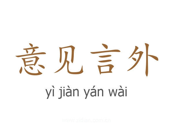 意见言外