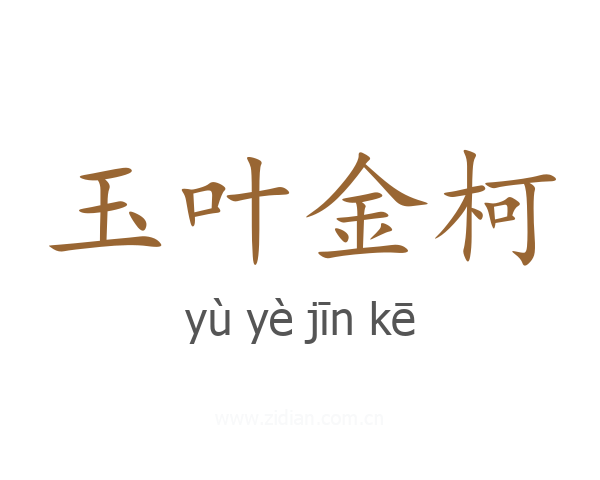 玉叶金柯