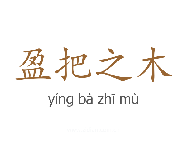 盈把之木