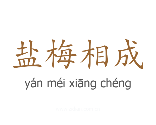 盐梅相成