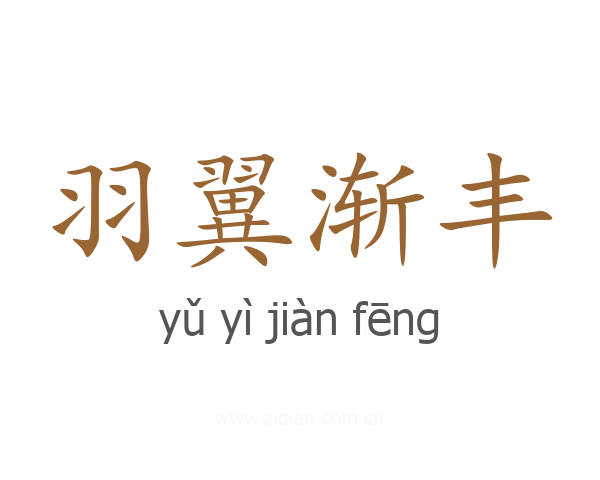 羽翼渐丰