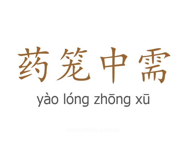 药笼中需