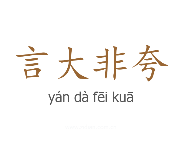 言大非夸