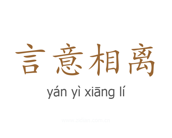 言意相离