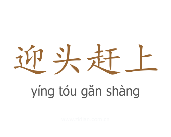 迎头赶上