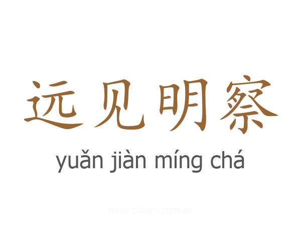 远见明察