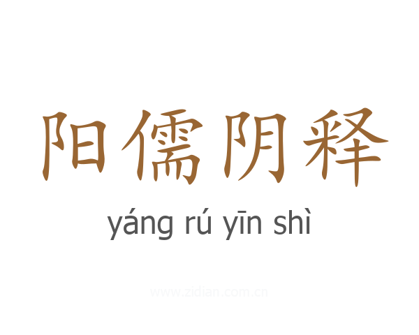 阳儒阴释