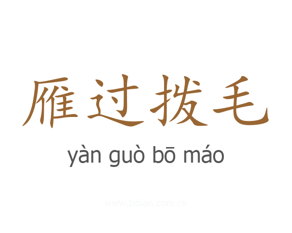 雁过拨毛