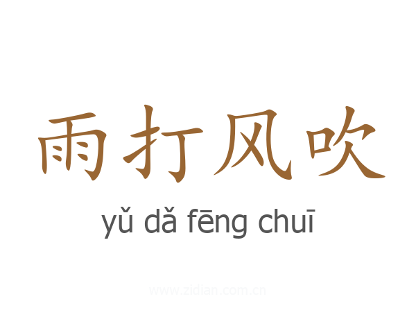 雨打风吹