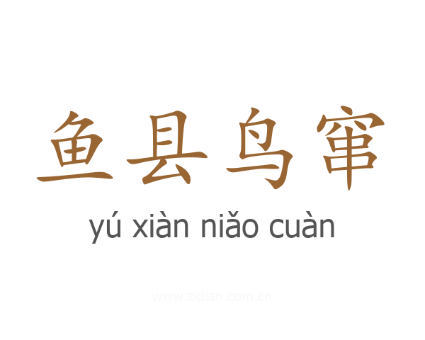 鱼县鸟窜