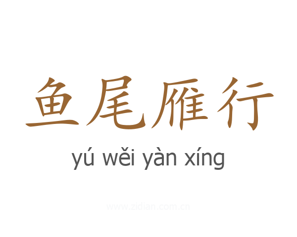 鱼尾雁行