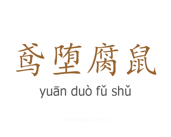 鸢堕腐鼠