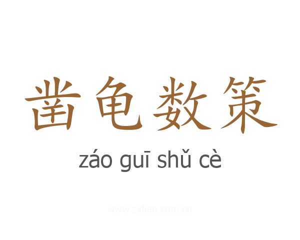 凿龟数策