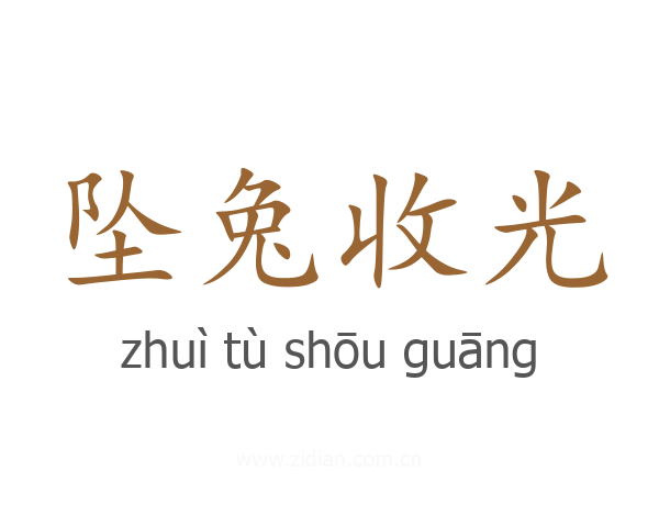 坠兔收光