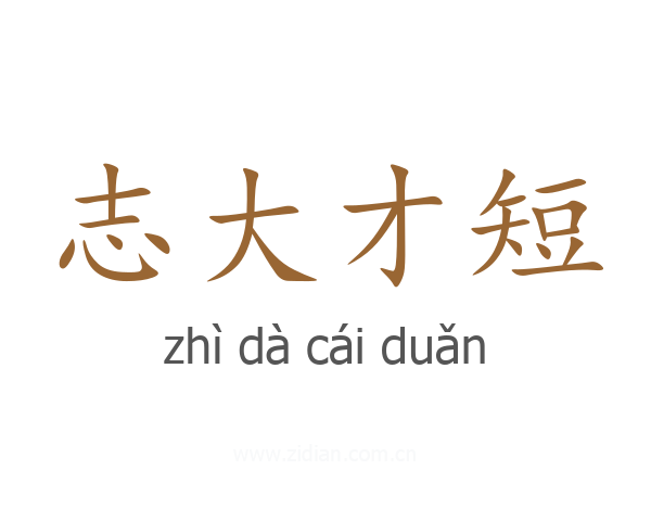 志大才短