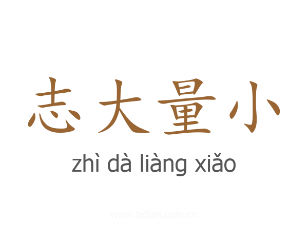 志大量小