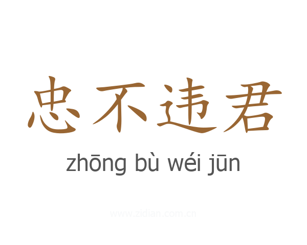 忠不违君
