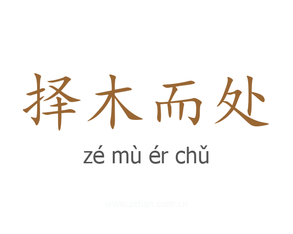 择木而处