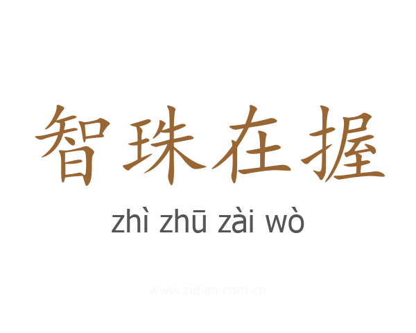智珠在握