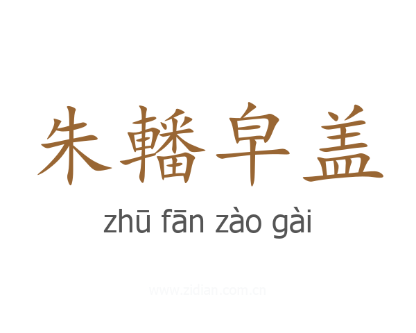 朱轓皁盖