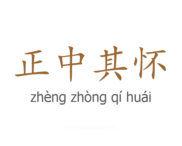 正中其怀