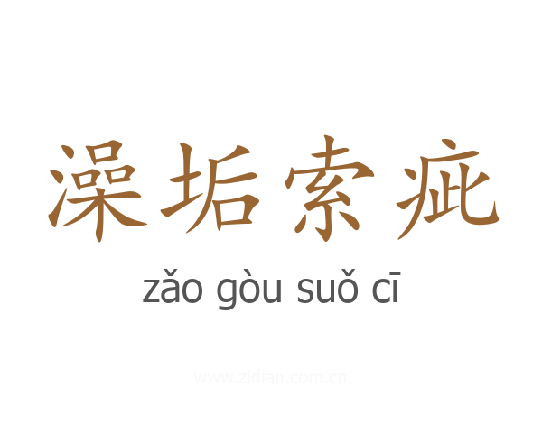澡垢索疵