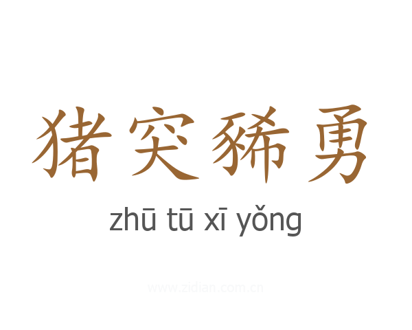 猪突豨勇