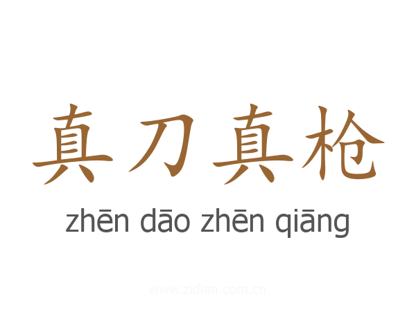 真刀真枪