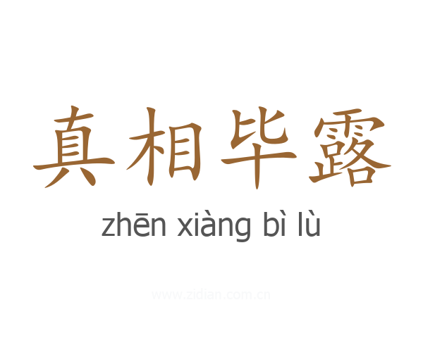 真相毕露