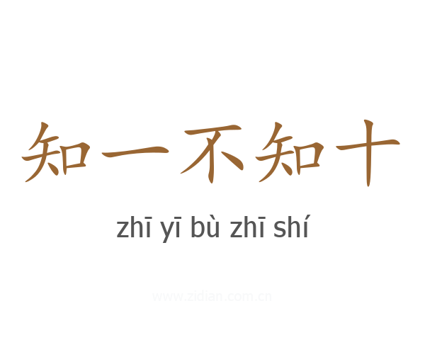 知一不知十