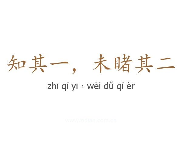 知其一，未睹其二
