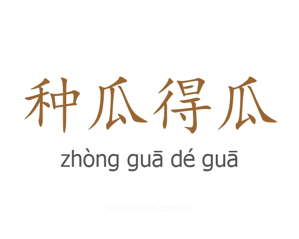 种瓜得瓜